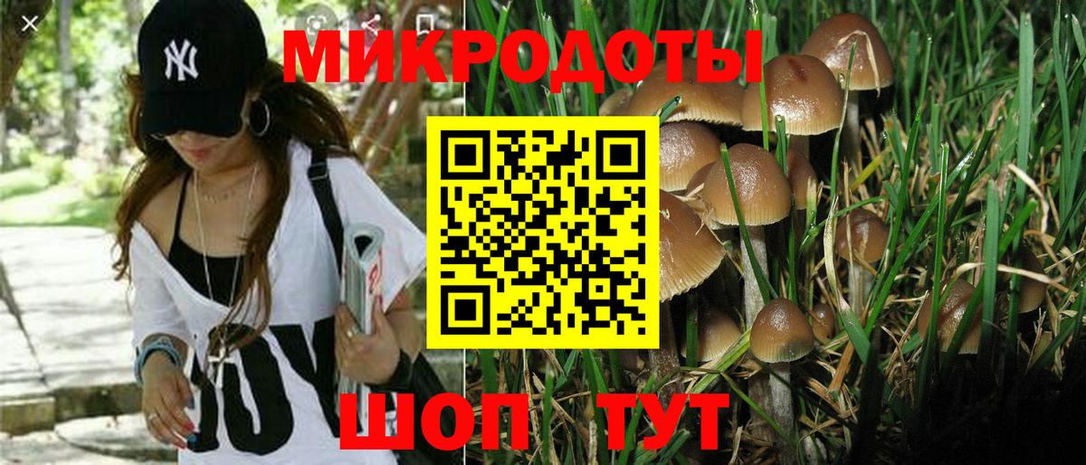Великие Луки  Галлюциногенные грибы Psilocybe  Вход с VPN 