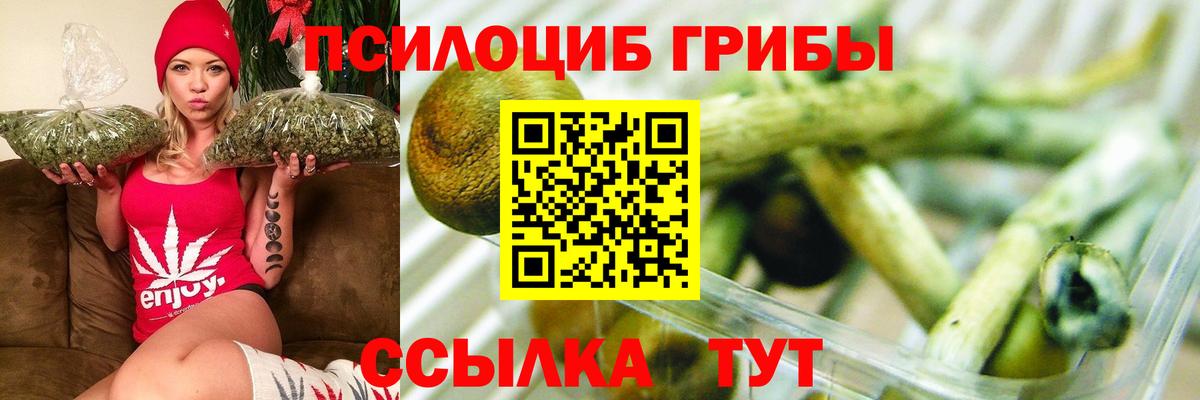 Псилоцибиновые грибы Psilocybine cubensis Великие Луки